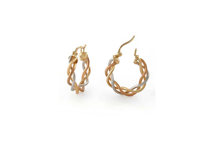 Fancy Shaped Twisted Hoop Fashion Earring